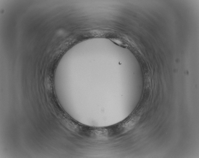 X0000071780317200607211603