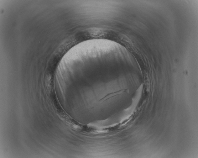 X0000071780319200607211603