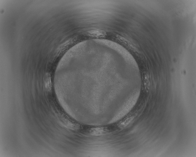 X0000071780320200607211603