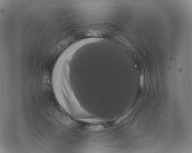 X0000071780322200607211603