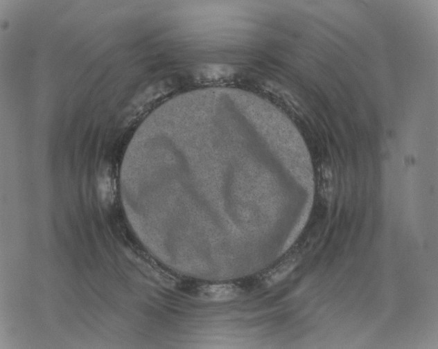 X0000071780324200607211603