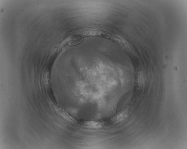 X0000071780326200607211603