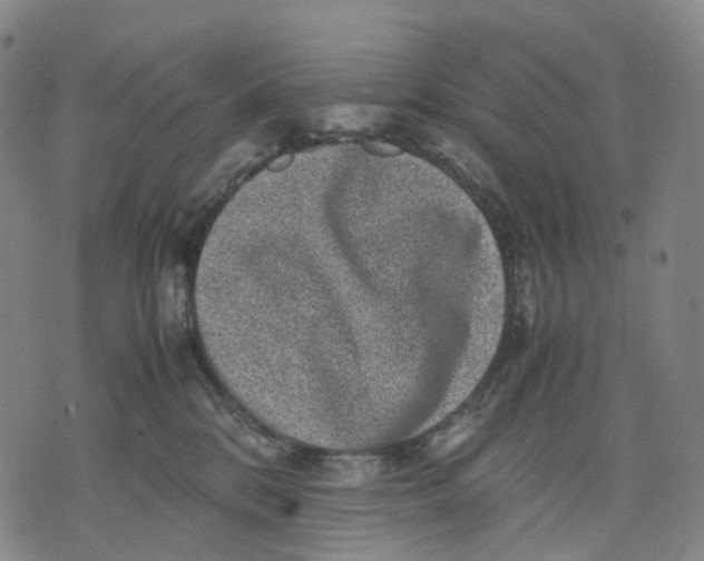 X0000071780328200607211603