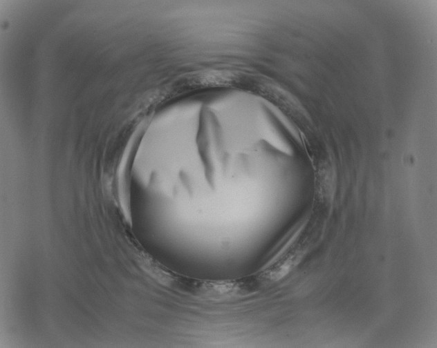 X0000071780329200607211603