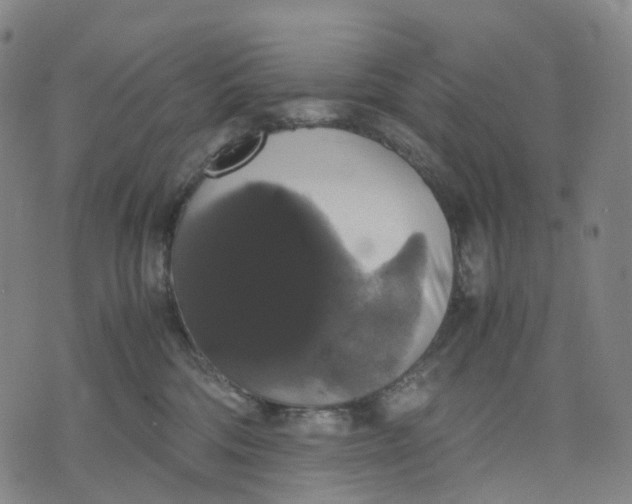 X0000071780330200607211603