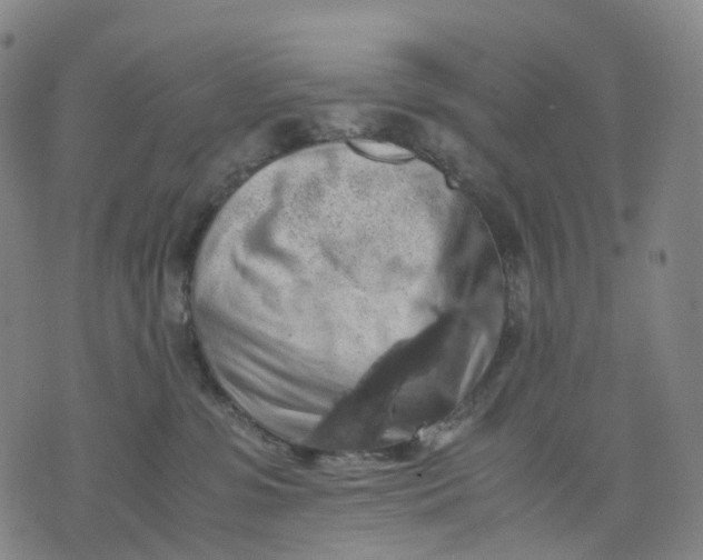 X0000071780331200607211603