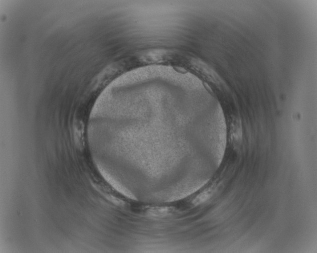 X0000071780332200607211603