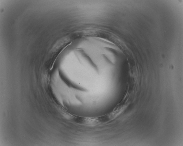 X0000071780333200607211603