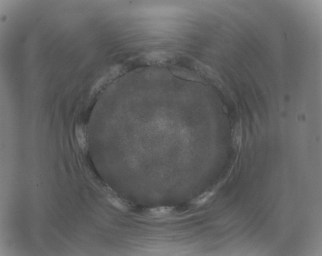 X0000071780335200607211603