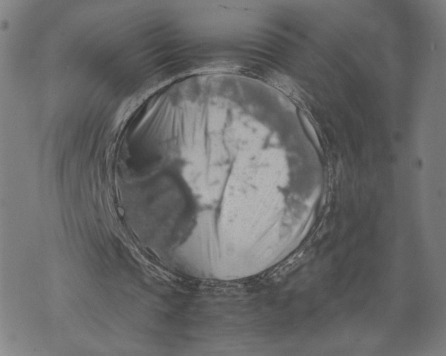 X0000071780337200607211602