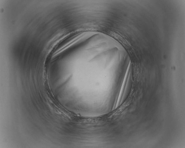 X0000071780338200607211602