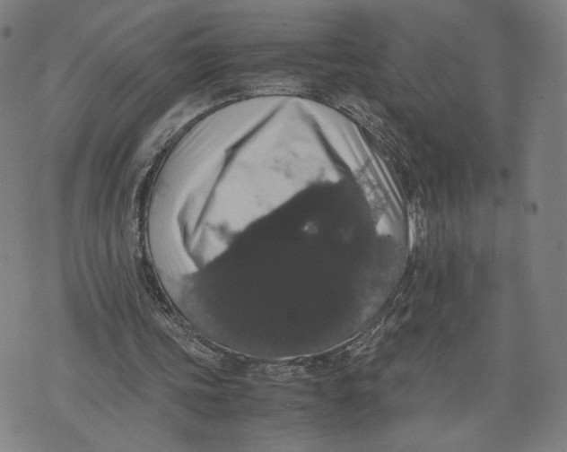 X0000071780339200607211602