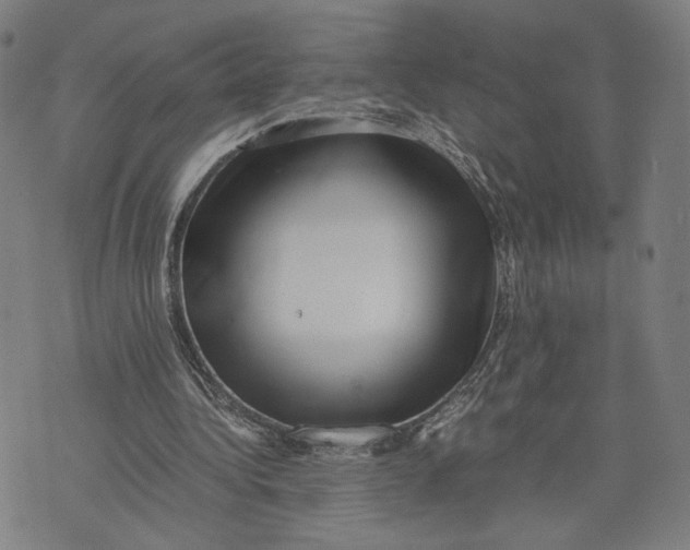 X0000071780340200607211602