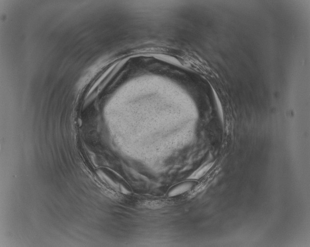 X0000071780341200607211602