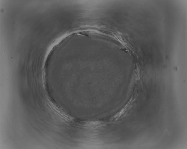 X0000071780342200607211602