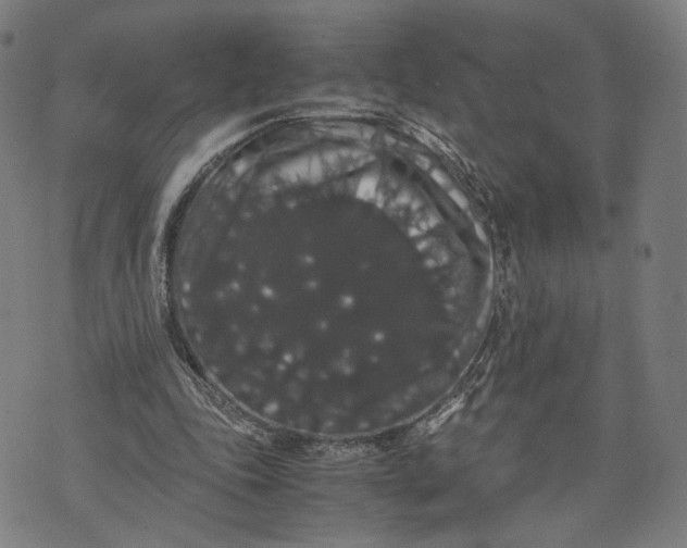 X0000071780343200607211602