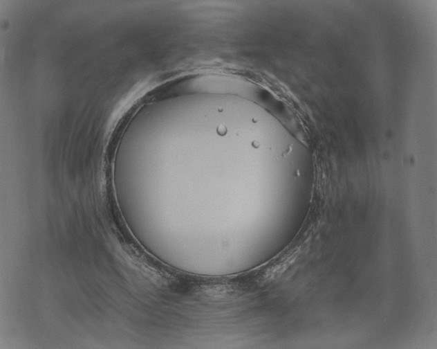 X0000071780344200607211602