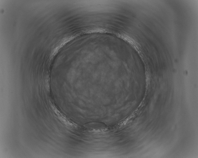 X0000071780345200607211602