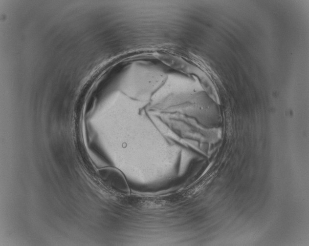 X0000071780346200607211602