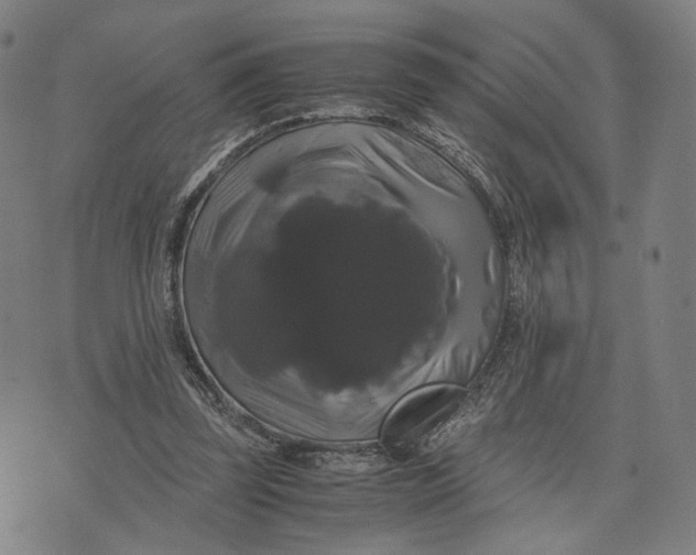 X0000071780347200607211602