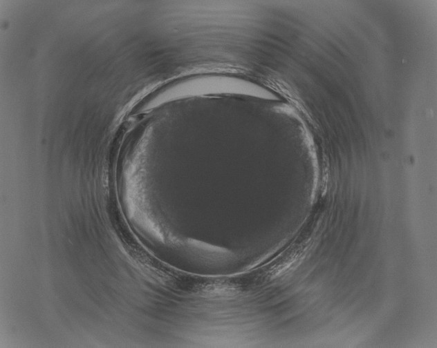 X0000071780348200607211602