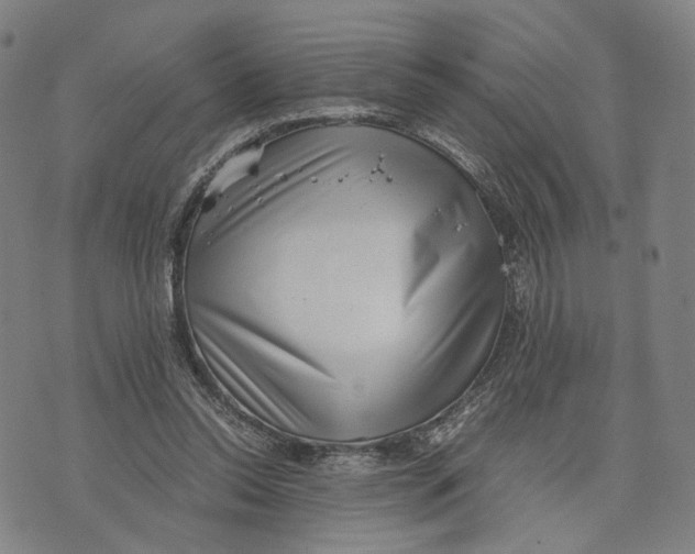 X0000071780350200607211602