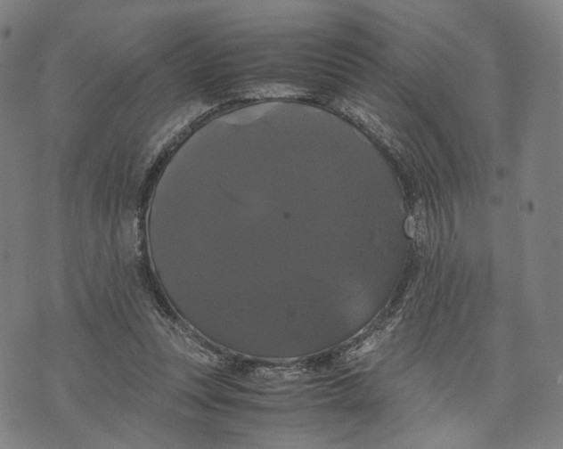 X0000071780351200607211602