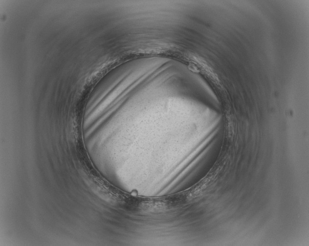 X0000071780354200607211602