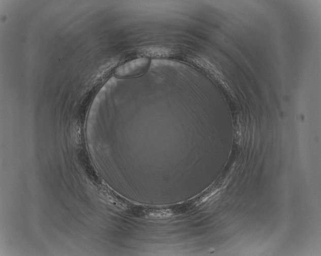 X0000071780355200607211603