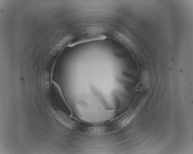 X0000071780356200607211603