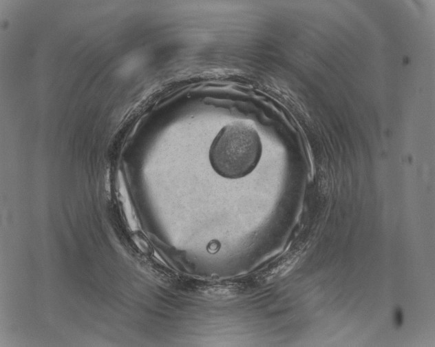 X0000071780358200607211603