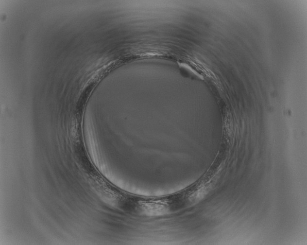 X0000071780359200607211603