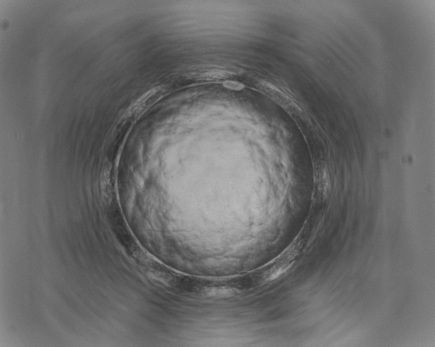 X0000071780360200607211603