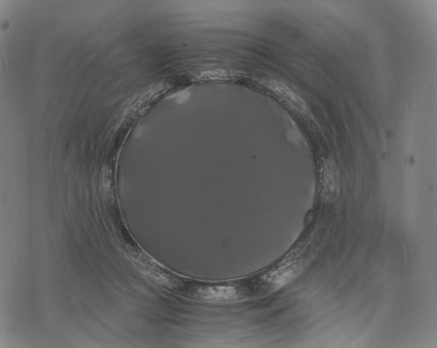 X0000071780361200607211603