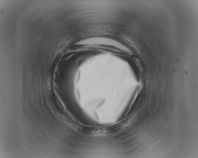 X0000071780362200607211603