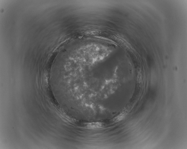 X0000071780363200607211603