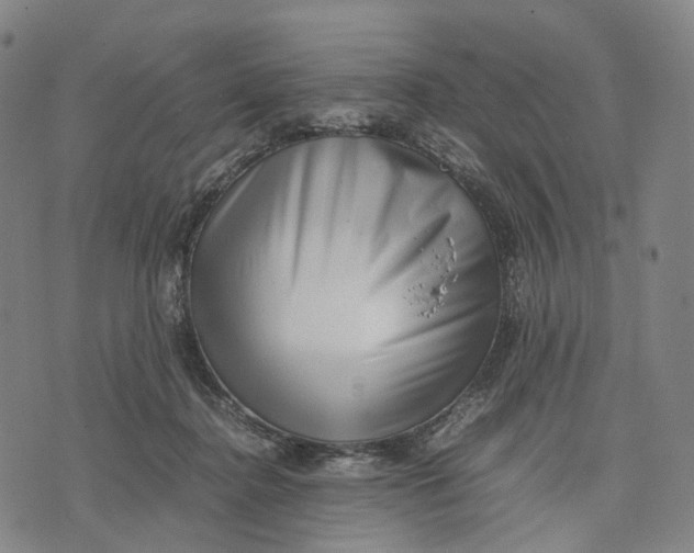 X0000071780364200607211603