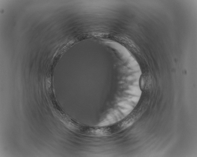 X0000071780365200607211603