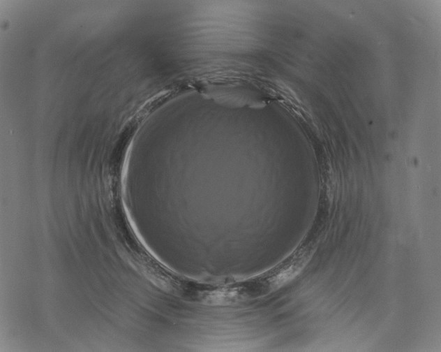 X0000071780366200607211603