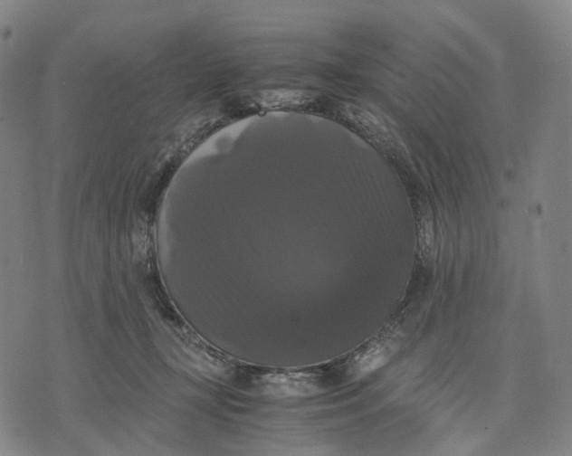 X0000071780367200607211603