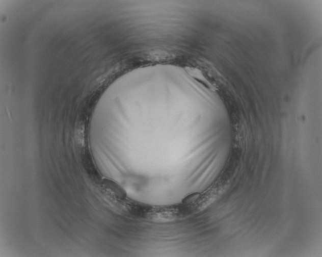 X0000071780368200607211603