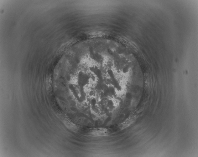 X0000071780369200607211603