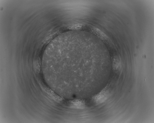 X0000071780370200607211603