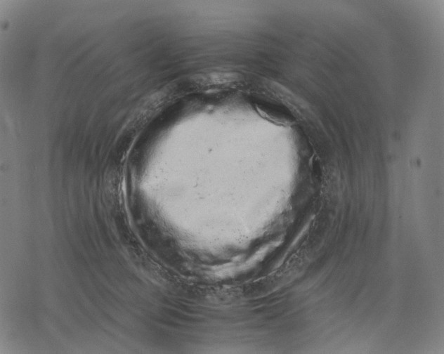 X0000071780373200607211603