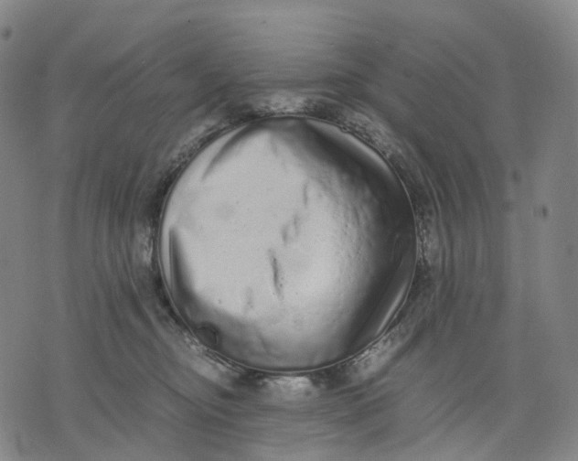 X0000071780374200607211603