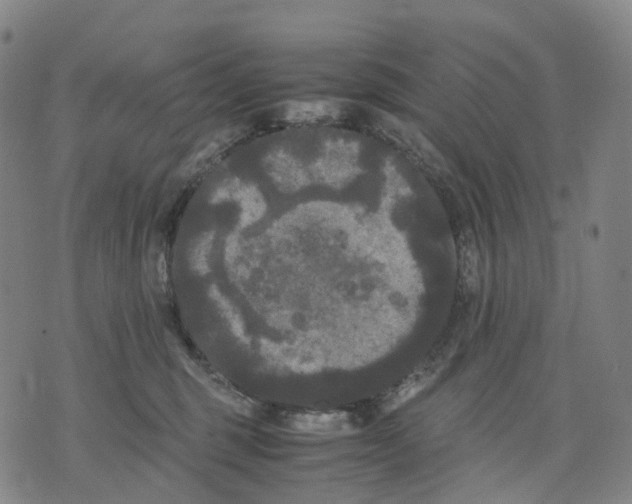 X0000071780375200607211603