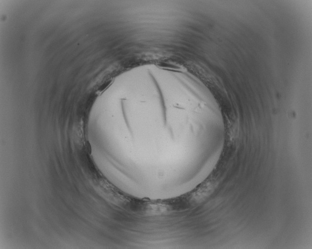 X0000071780376200607211603