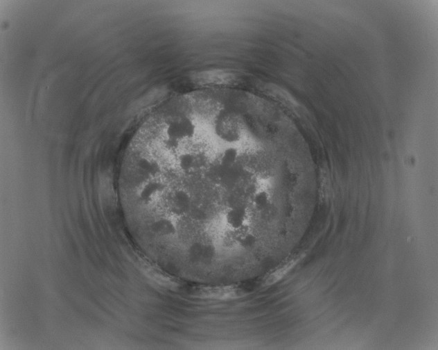 X0000071780377200607211603