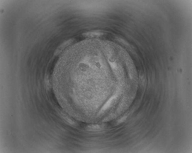 X0000071780381200607211603