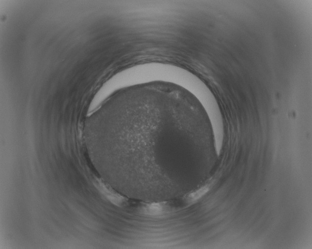 X0000071780382200607211603